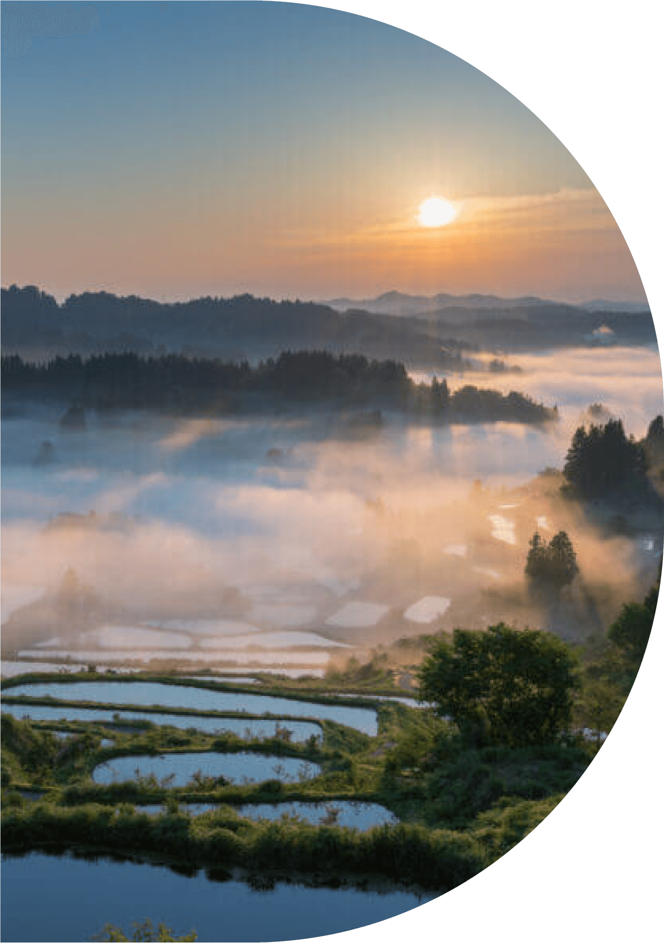 新潟県十日町市の風景(提供:十日町市観光協会)