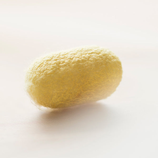 みどりまゆ まゆ玉 繭玉 繭 緑繭