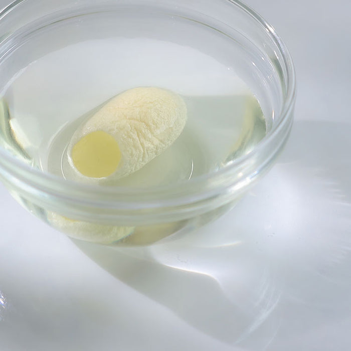 絹生活研究所 みどりまゆのまゆ玉（5個入り） – 絹生活研究所 Online store