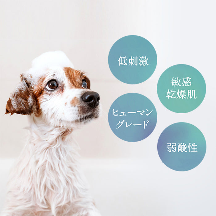 額装品/夢中にかぶりつく犬/シャロン ビールス 額装品/夢中にかぶりつく犬/シャロン ビールス - メルカリ